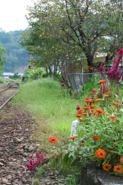 その後の高千穂線〜全駅めぐりの旅・槇峰駅