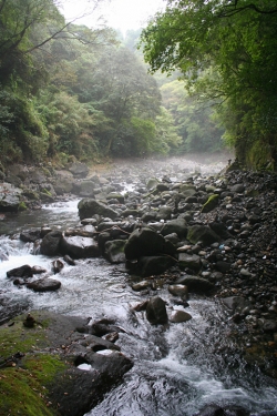 高千穂巡り・天岩戸神社天安河原道中