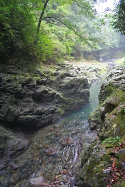 高千穂巡り・天岩戸神社天安河原道中