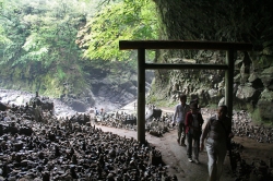 高千穂巡り・天岩戸神社天安河原