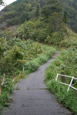 高千穂巡り・三ヶ所神社　奥宮