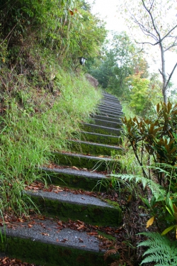 高千穂巡り・三ヶ所神社　奥宮階段