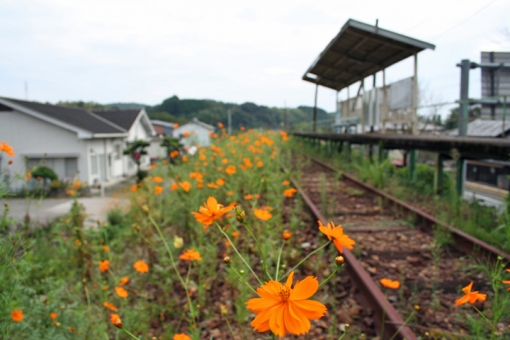 その後の高千穂線〜全駅めぐりの旅・細見駅