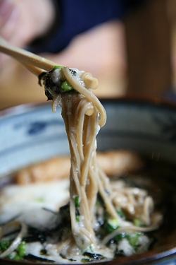 小国散策・花郷庵（かごうあん）やまかけそば