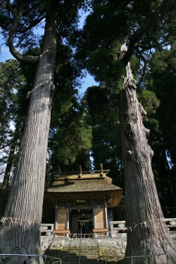 小国散策・銅ヶ滝夫婦杉