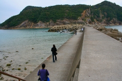 「幸島」→「都井岬」　串間に生息する野生の動物達。「幸島」