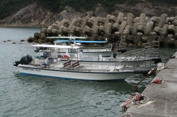 「幸島」→「都井岬」　串間に生息する野生の動物達。「幸島」