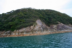 「幸島」→「都井岬」　串間に生息する野生の動物達。「幸島」