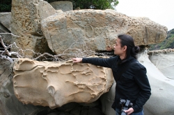 「幸島」→「都井岬」　串間に生息する野生の動物達。「幸島」