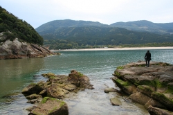 「幸島」→「都井岬」　串間に生息する野生の動物達。「幸島」