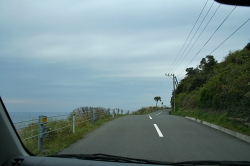 「幸島」→「都井岬」　串間に生息する野生の動物達。