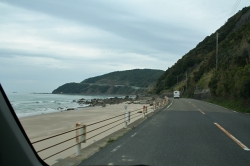 「幸島」→「都井岬」　串間に生息する野生の動物達。