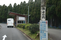 「幸島」→「都井岬」　串間に生息する野生の動物達。