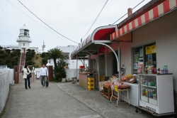 「幸島」→「都井岬」　串間に生息する野生の動物達。「都井岬灯台」