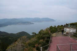 「幸島」→「都井岬」　串間に生息する野生の動物達。「都井岬灯台」