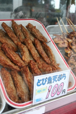 「幸島」→「都井岬」　串間に生息する野生の動物達。「都井岬灯台」