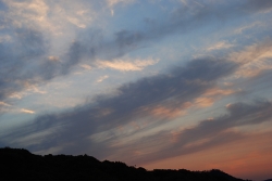 「幸島」→「都井岬」　串間に生息する野生の動物達。「夕暮れの石波海岸」