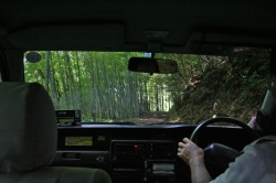 高千穂巡り・車内風景