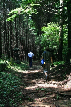 高千穂巡り・向山神社