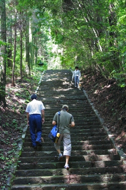 高千穂巡り・向山神社