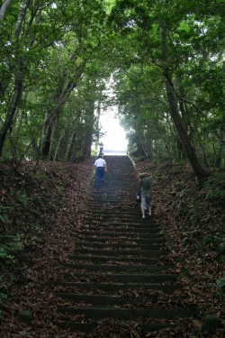 高千穂巡り・向山神社石段