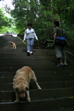 高千穂巡り・二上神社