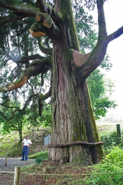 高千穂巡り・中畑神社