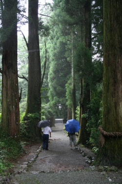 高千穂巡り・中畑神社