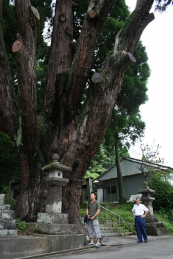 高千穂巡り・下野八幡神社