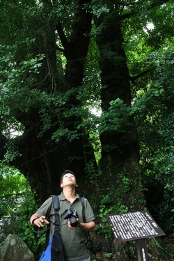 高千穂巡り・下野八幡神社