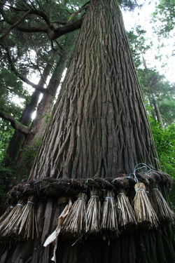 高千穂巡り・柚木野神社