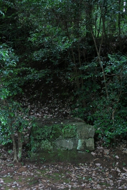 高千穂巡り・柚木野神社