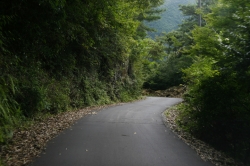 尾鈴山瀑布群 〜 滝めぐり・道案合い