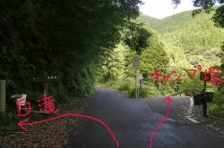 尾鈴山瀑布群 〜 滝めぐり・第2駐車場から白滝へ（5.3km）