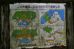 尾鈴山瀑布群 〜 滝めぐり・第2駐車場から白滝へ（5.3km）