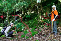 尾鈴山瀑布群 〜 滝めぐり・第2駐車場から白滝へ（5.3km）