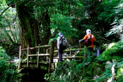 尾鈴山瀑布群 〜 滝めぐり・道中