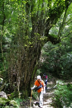 尾鈴山瀑布群 〜 滝めぐり・道中