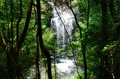 尾鈴山瀑布群 〜 滝めぐり・さらさの滝