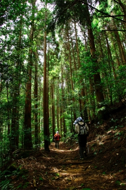 尾鈴山瀑布群 〜 滝めぐり・移動中