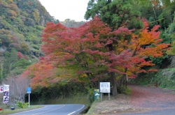 耶馬渓・イメージ