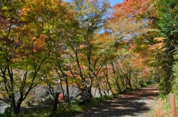 耶馬渓・イメージ