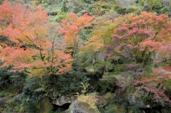 耶馬渓・一目八景