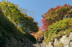 耶馬渓・もみじの丘