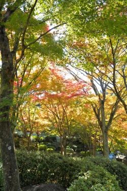 耶馬渓・渓石園