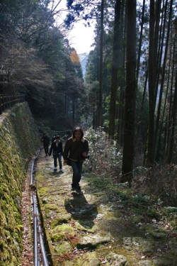 杖立温泉めぐり・杖立プリン伝説プロジェクト