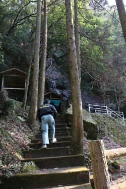 杖立温泉めぐり・杖立プリン伝説プロジェクト