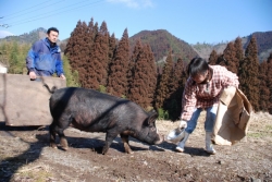 ファームカノン・栗山夫妻