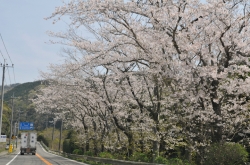 鶴御崎・道案内