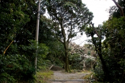 鶴御崎・展望ブリッジ